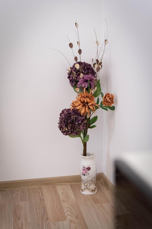 Isaran Coresi Apartment Брашов Екстер'єр фото